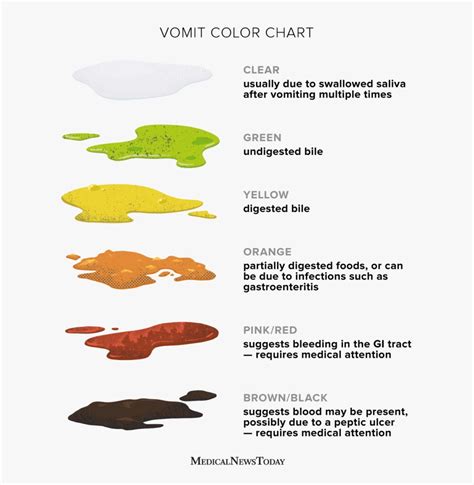 Vomit Colors: What They Mean .